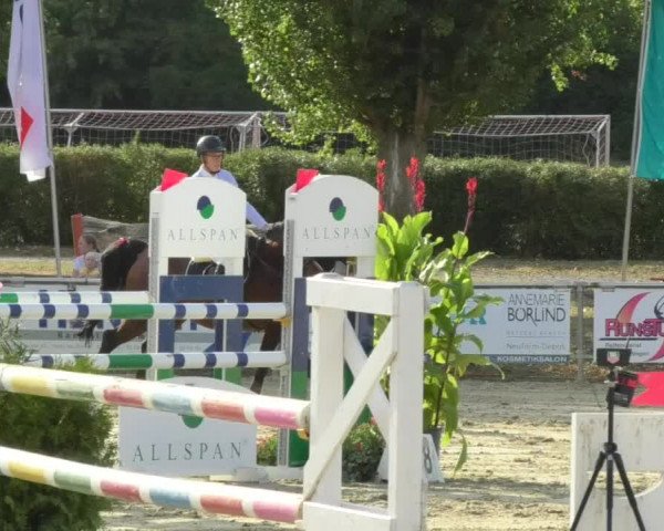 Reitturnier Oberderdingen 2018