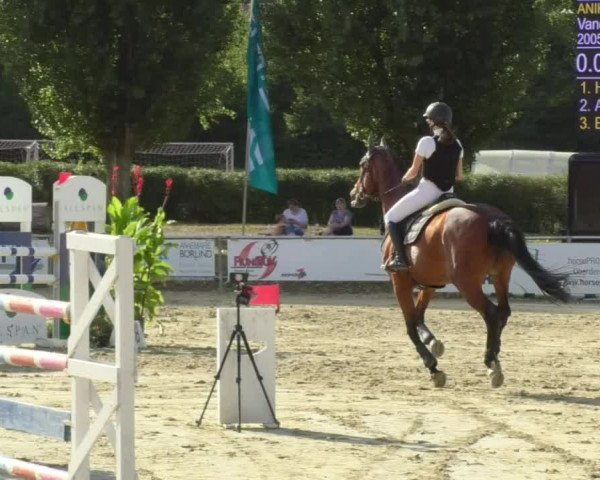 Reitturnier Oberderdingen 2018