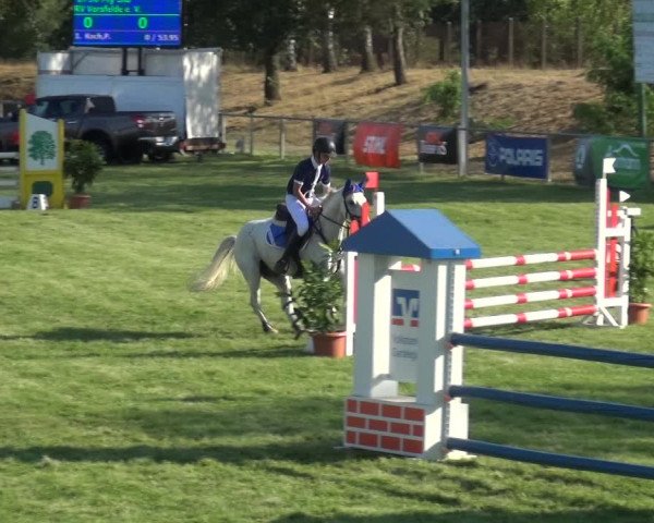 Reitturnier Gardelegen 2018