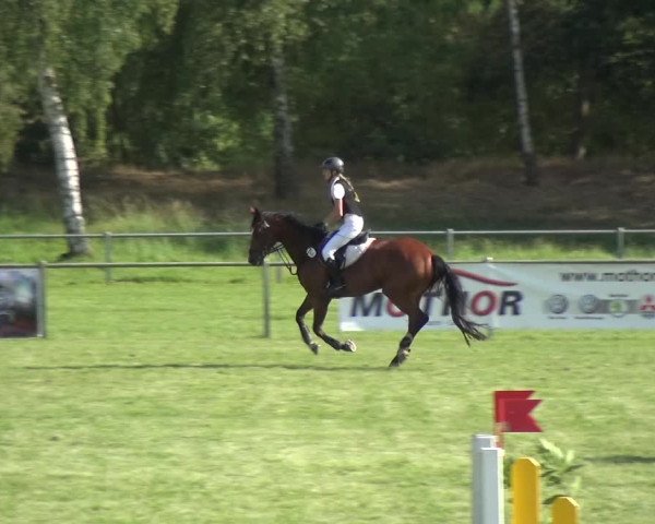 Reitturnier Gardelegen 2018