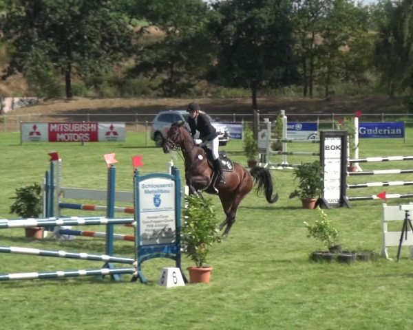 Reitturnier Gardelegen 2018