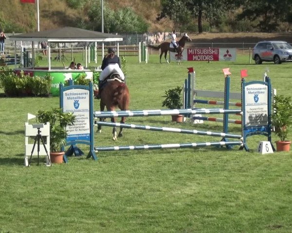 Reitturnier Gardelegen 2018