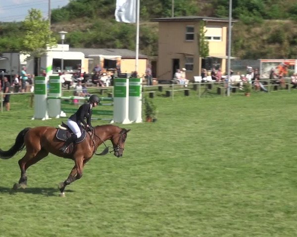 Reitturnier Gardelegen 2018