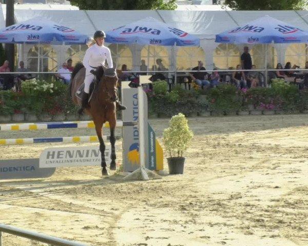 Reitturnier Oberderdingen 2018