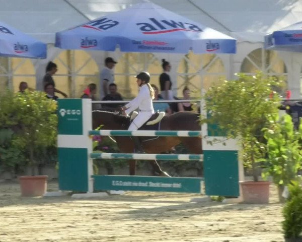 Reitturnier Oberderdingen 2018