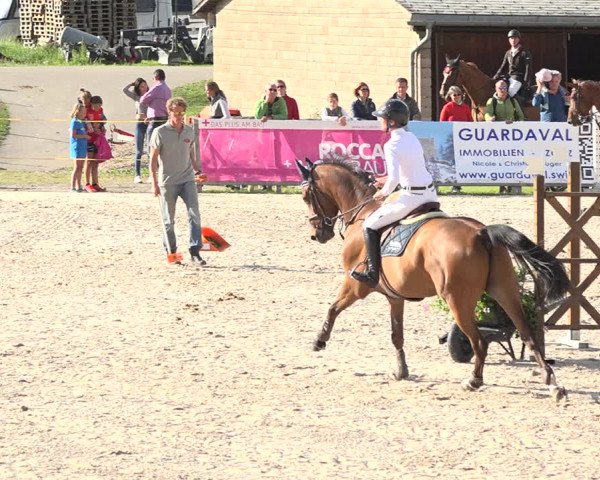Concours Hippique Zuoz 2018