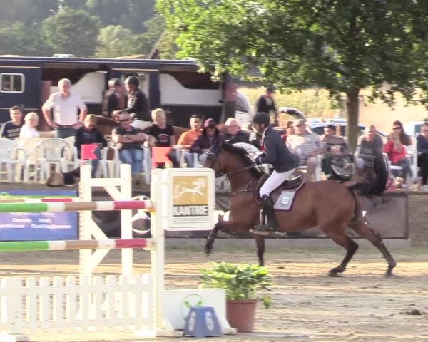 Waltroper Reitertage 2018