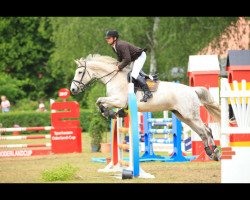 broodmare Portofina 10 (Westphalian, 2005, from Candidatus)