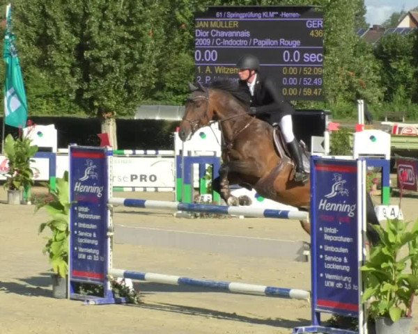 Reitturnier Oberderdingen 2018