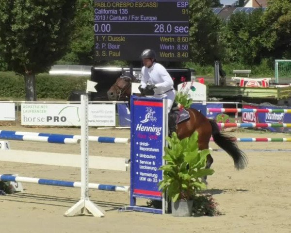 Reitturnier Oberderdingen 2018