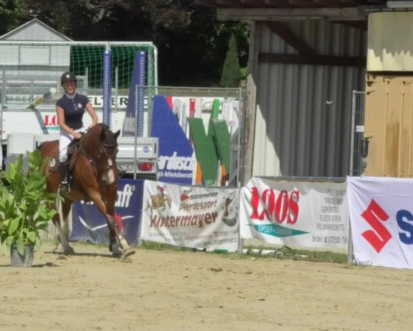 Reitturnier Oberderdingen 2018