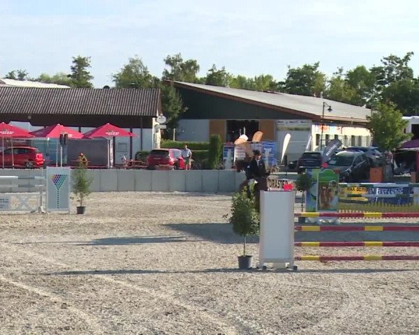 Reitturnier Grafenrheinfeld 2018
