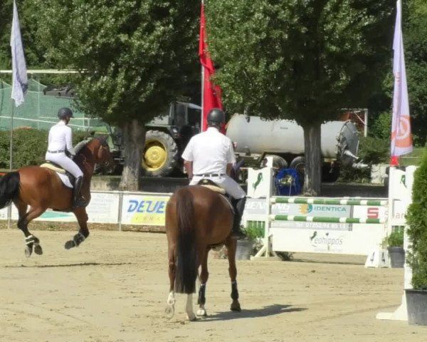 Reitturnier Oberderdingen 2018