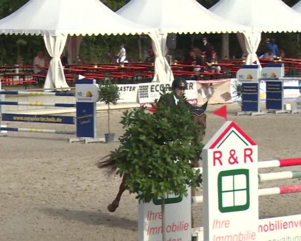Reitturnier Grafenrheinfeld 2018