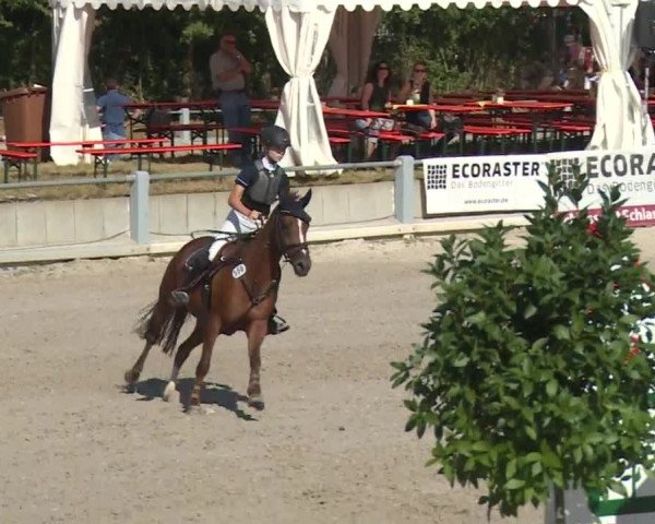 Reitturnier Grafenrheinfeld 2018