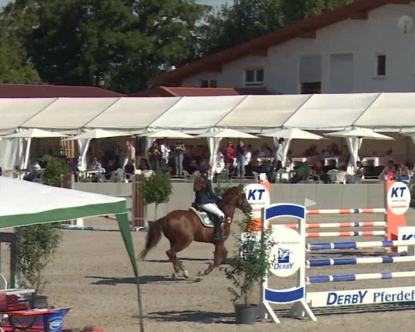 Reitturnier Grafenrheinfeld 2018