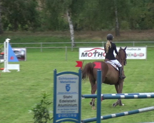 Reitturnier Gardelegen 2018