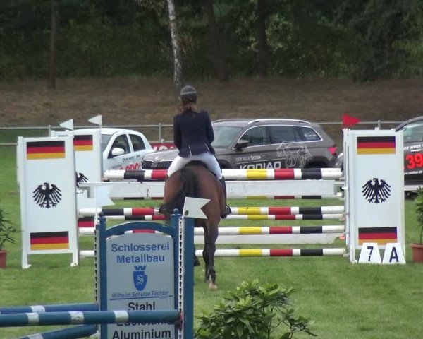 Reitturnier Gardelegen 2018