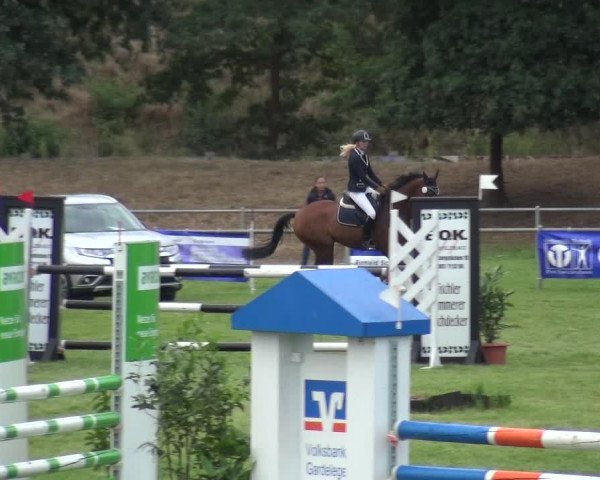 Reitturnier Gardelegen 2018