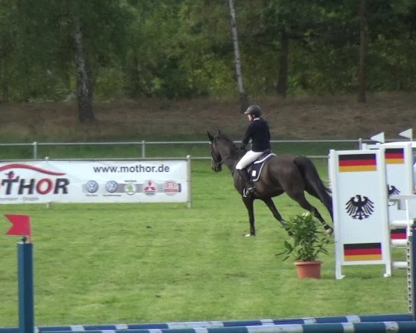 Reitturnier Gardelegen 2018