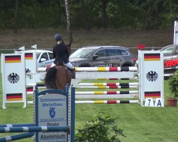 Reitturnier Gardelegen 2018