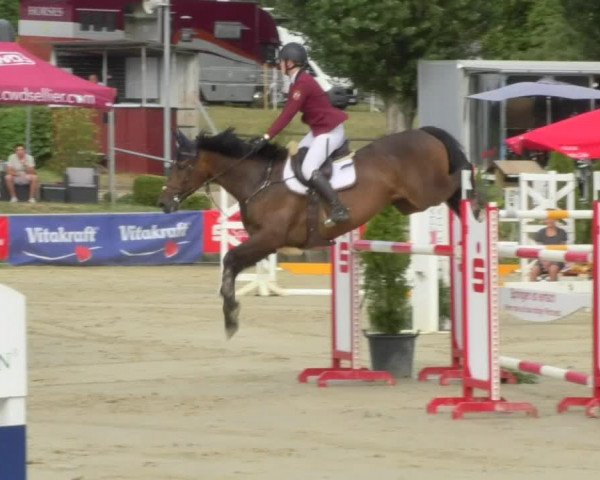 Reitturnier Oberderdingen 2018