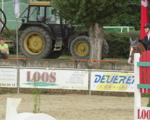 Reitturnier Oberderdingen 2018
