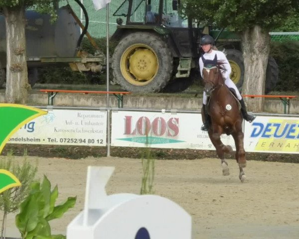 Reitturnier Oberderdingen 2018