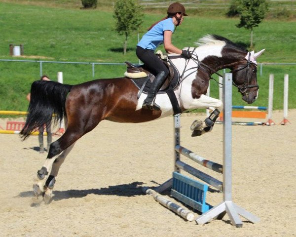 broodmare Reda (polish noble half-breed, 2004, from Kamrat)