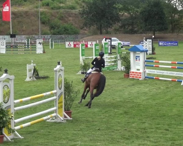 Reitturnier Gardelegen 2018