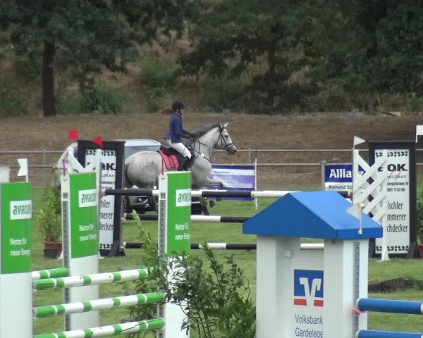 Reitturnier Gardelegen 2018