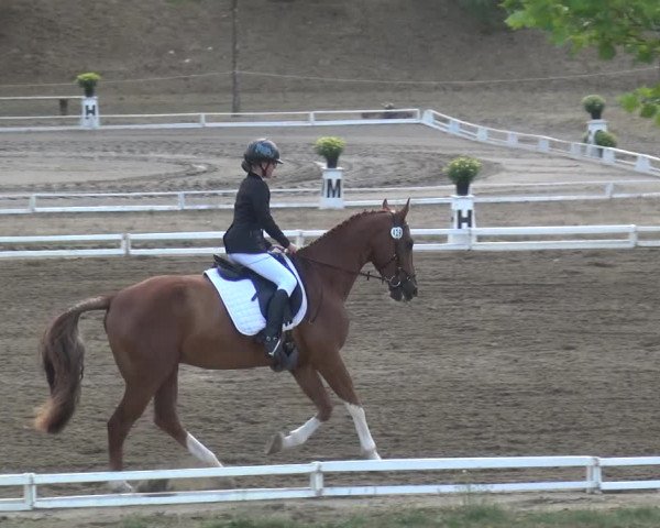 Reitturnier Gardelegen 2018