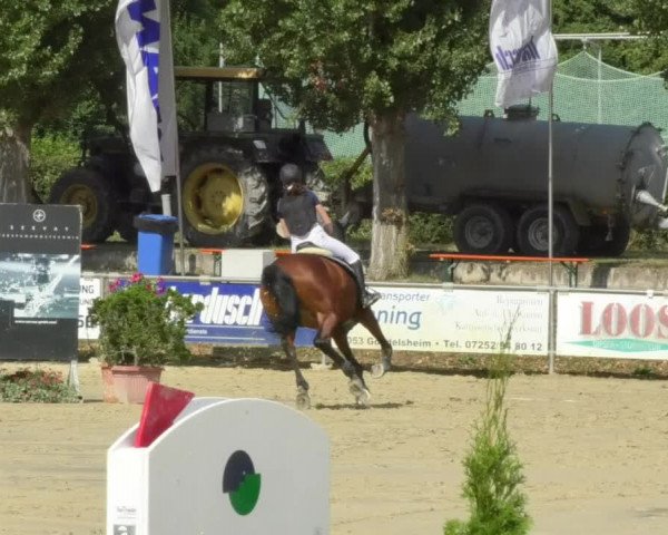 Reitturnier Oberderdingen 2018