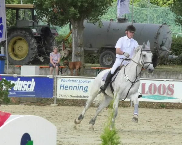 Reitturnier Oberderdingen 2018
