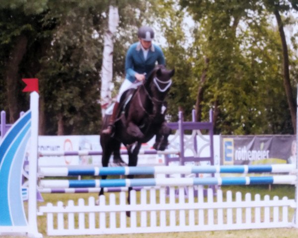 broodmare Marie de Paris H (Hanoverian, 2013, from Métall)
