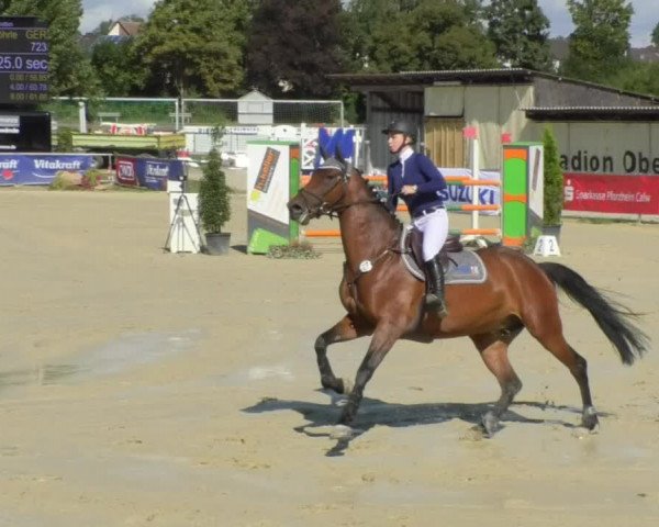 Reitturnier Oberderdingen 2018