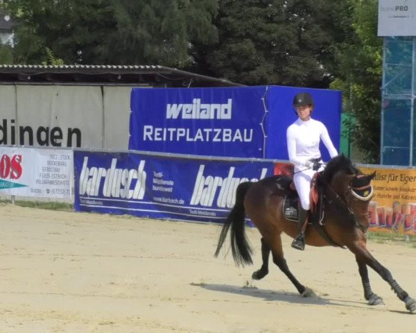 Reitturnier Oberderdingen 2018