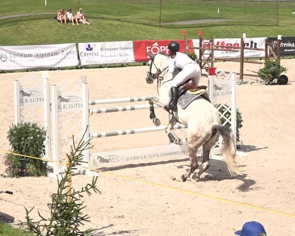 Concours Hippique Zuoz 2018