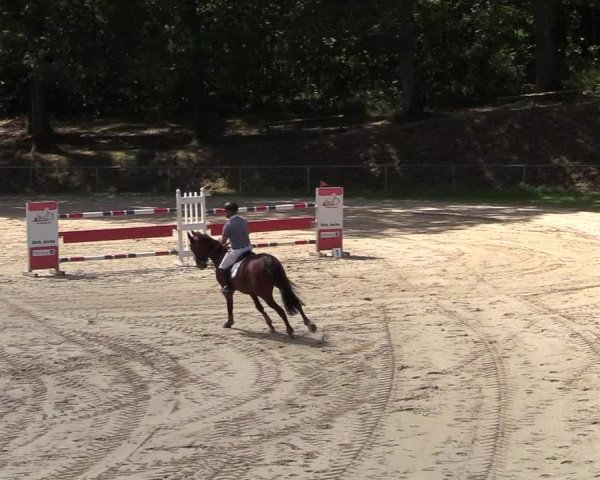 Reitturnier Neunkirchen-Salchendorf 2018