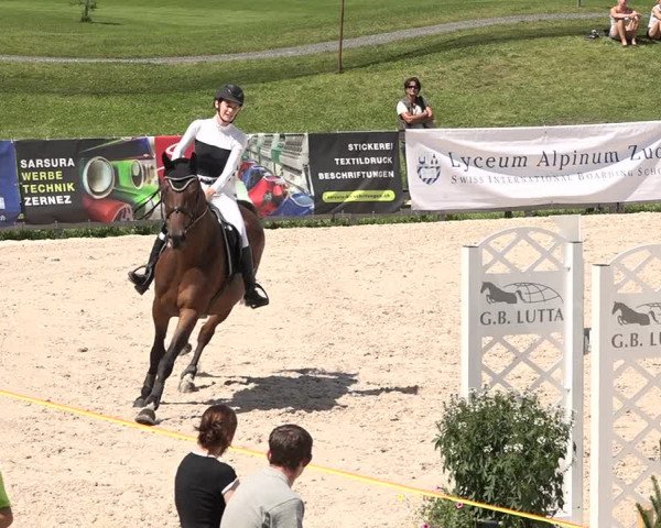 Concours Hippique Zuoz 2018