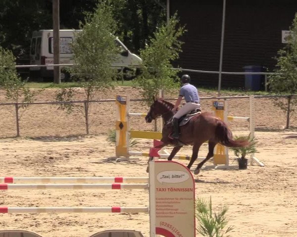 Reitturnier Neunkirchen-Salchendorf 2018