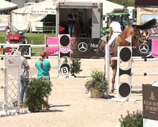 Concours Hippique Zuoz 2018