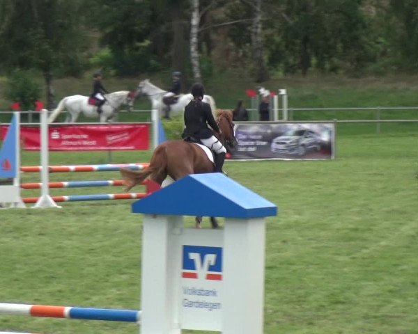 Reitturnier Gardelegen 2018