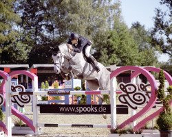 broodmare Cascaya 74 (Holsteiner, 2010, from Cornet Obolensky)