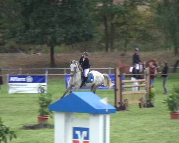 Reitturnier Gardelegen 2018