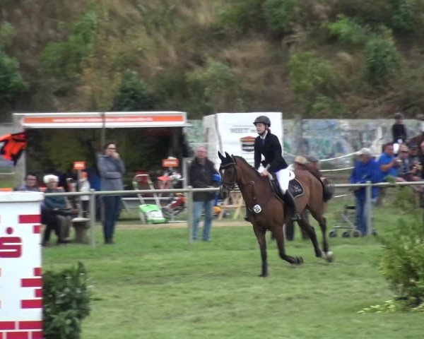 Reitturnier Gardelegen 2018