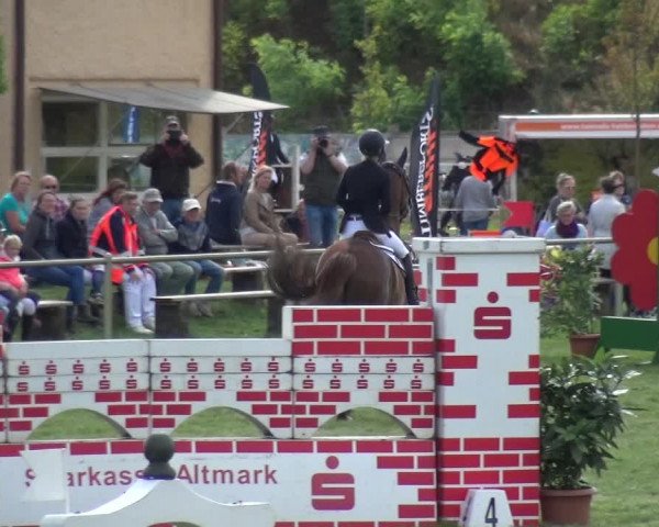 Reitturnier Gardelegen 2018