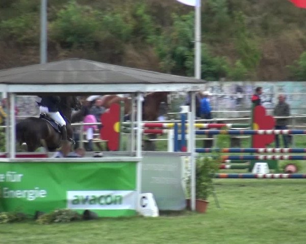 Reitturnier Gardelegen 2018
