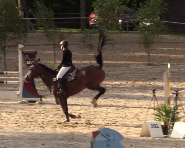 Reitturnier Neunkirchen-Salchendorf 2018