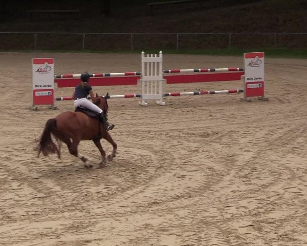Reitturnier Neunkirchen-Salchendorf 2018